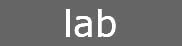 lab